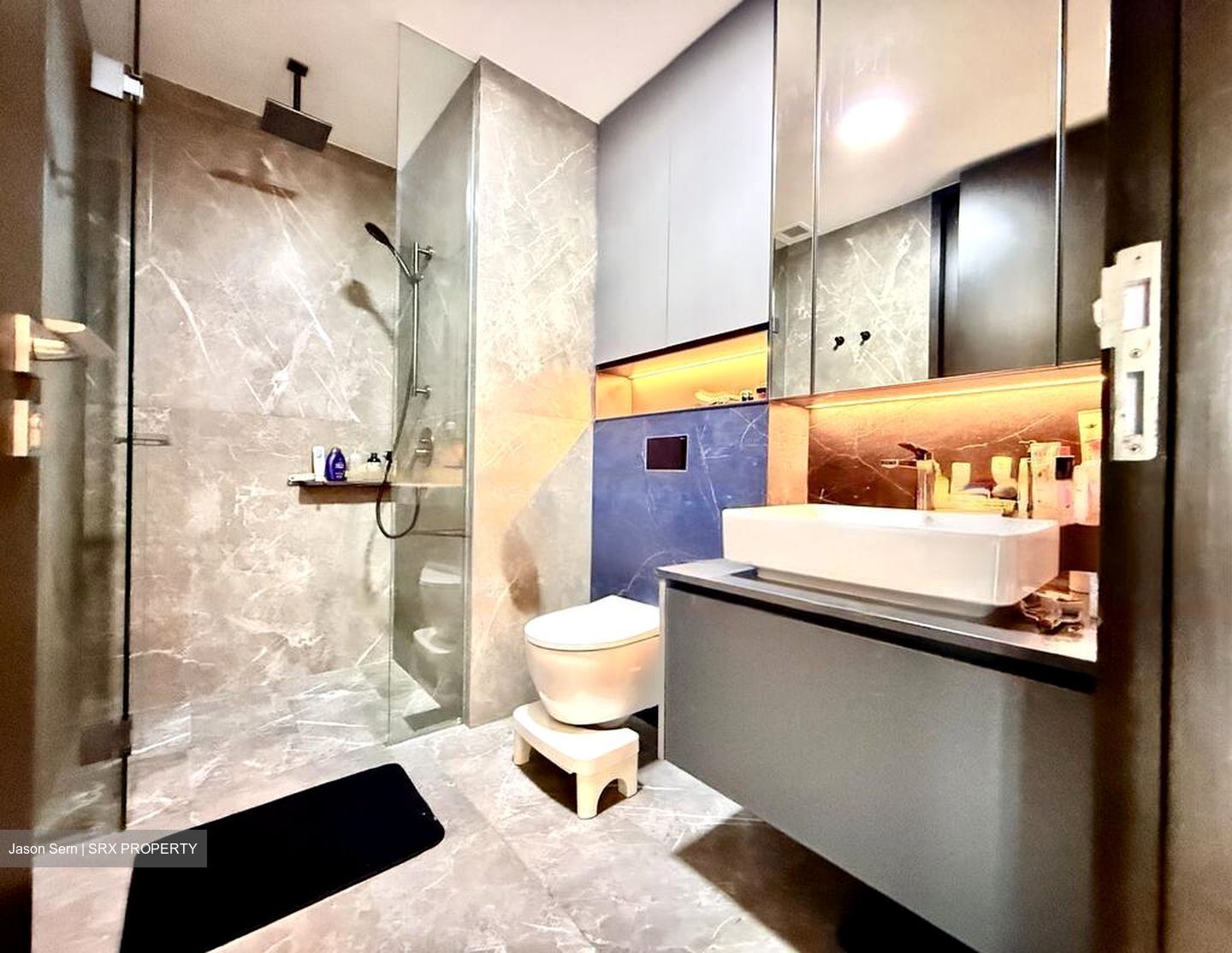 Irwell Hill Residences (D9), Apartment #481047171